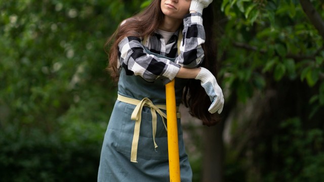 "It is borderline impossible on a normal consumer site to just get the answer."