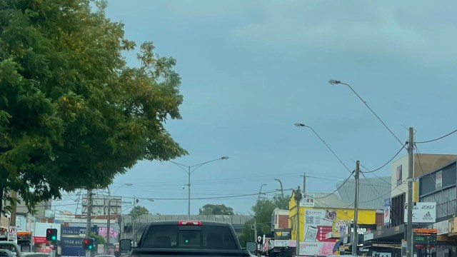 "It is an emotional support vehicle."