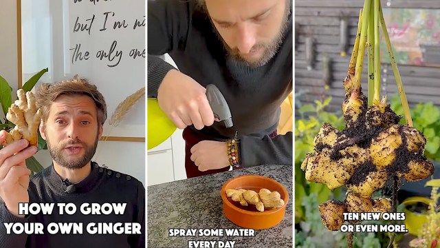 "This is very inspiring."