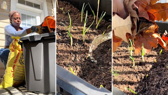 "You just gave me the go ahead."