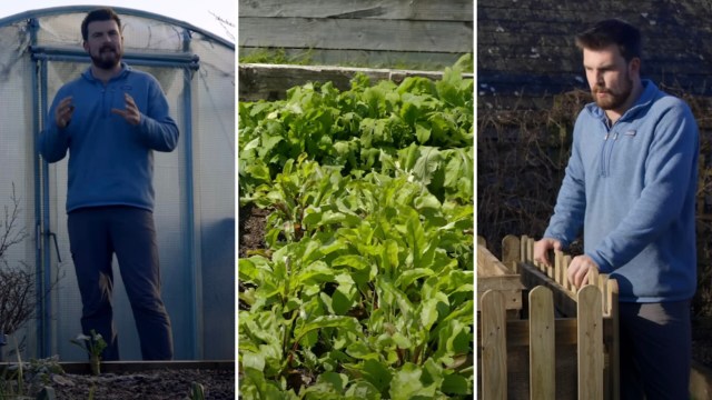 Many people are tired of rising grocery prices, which aren’t limited to eggs.