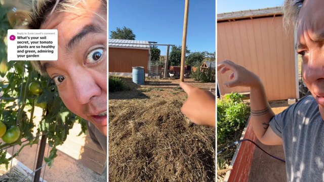 "A small investment can pay dividends for years to come."