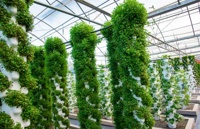 "We’ve been able to prove that as a business model, it works."