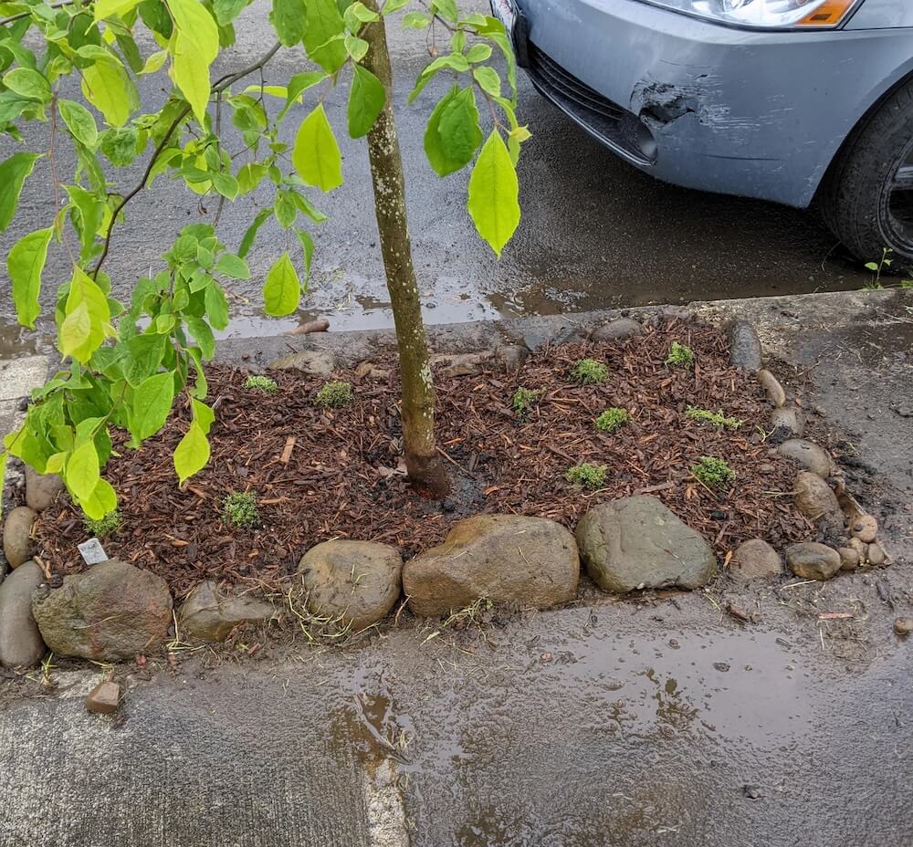 Gardening definitely comes with a bit of trial and error.