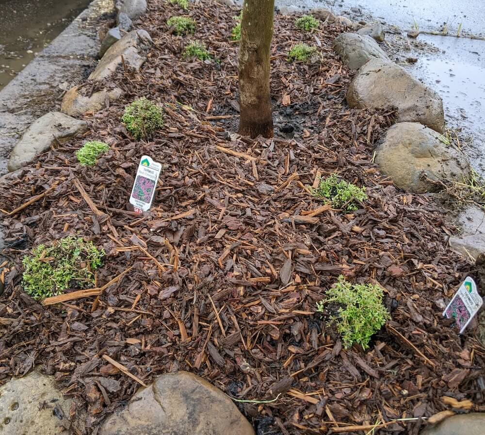 Gardening definitely comes with a bit of trial and error.