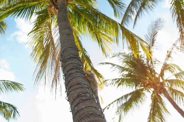 "This is life in Florida."