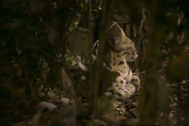 There are concerns about public safety.