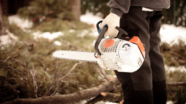 "Poverty and greed drive many into crime."