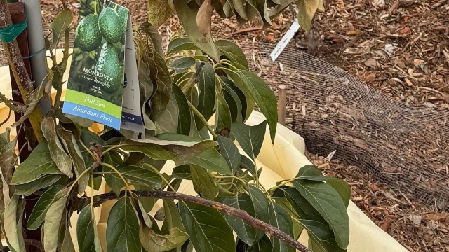 One commenter noted that if steps aren't taken "this will happen again."