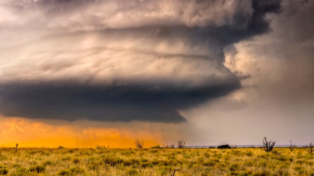 Staying indoors when air quality is poor is a good way to reduce the risk of respiratory illnesses.