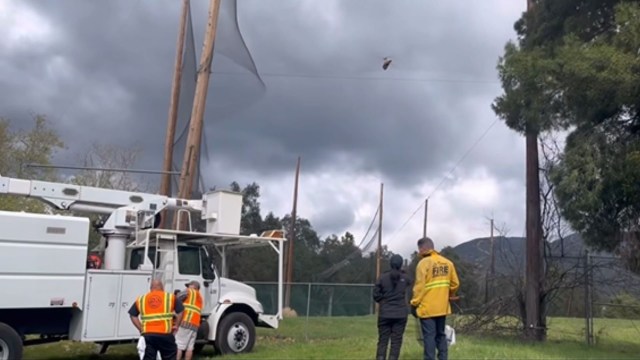 "This rescue was made possible by the teamwork and quick action of our community."