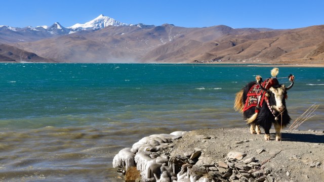 It stands in stark contrast to observations elsewhere on the planet.