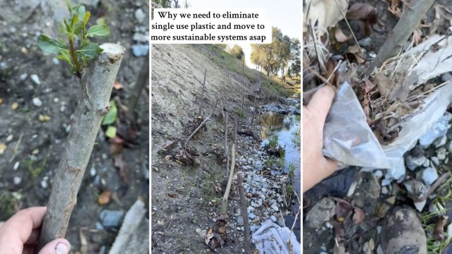 "Thank you for ... helping."