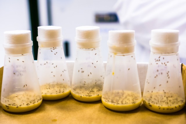 Understanding these behaviors is imperative.