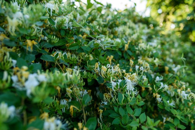 "Attack one small area at a time."