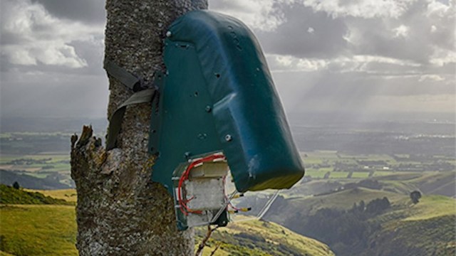 Critter Solutions wanted to create "open and inviting" traps more likely to attract animals.