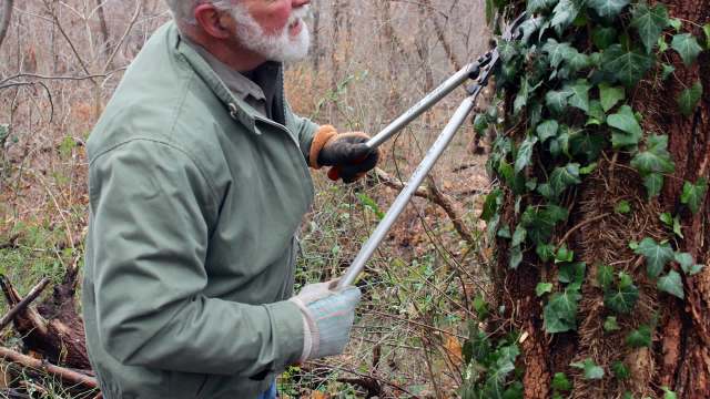 The group of scientists analyzed side effects across 1,078 islands in 17 different ecoregions.
