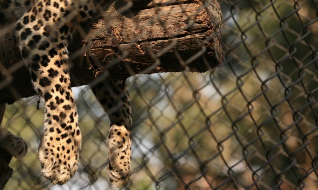 One of its recent missions was in Suriname, South America.