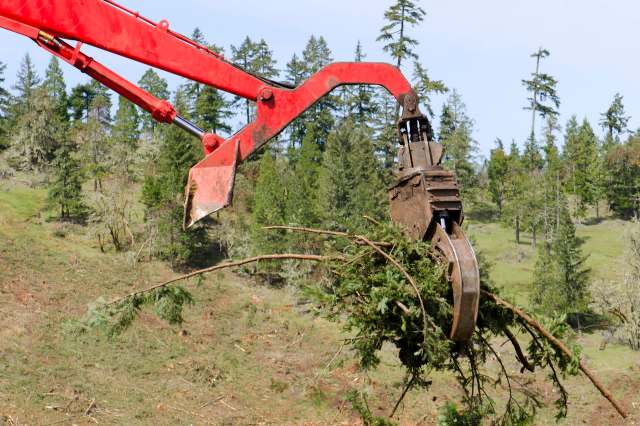 If it works, it works.