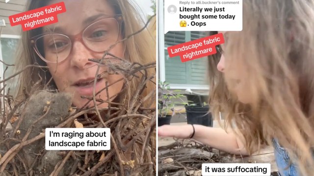 "It’s so entangled."