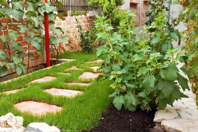 "One of the most evil additions modern landscaping has brought to our age."