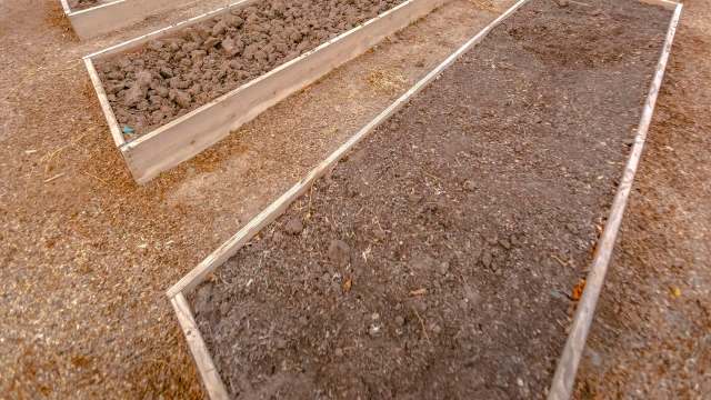 "Am I overthinking this?"