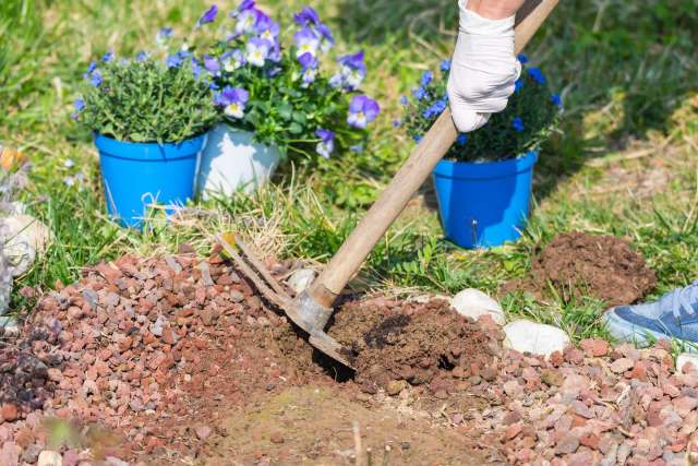 "You’ll likely find it’s easier to garden once it’s removed."