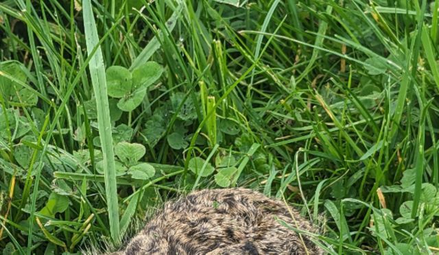 "They are so vulnerable."