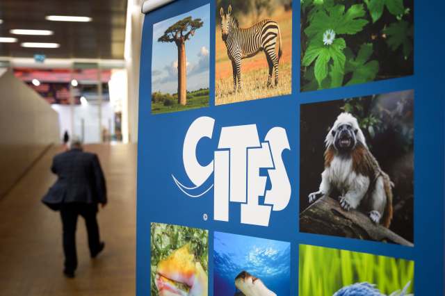 The delegates made a final decision on February 4.