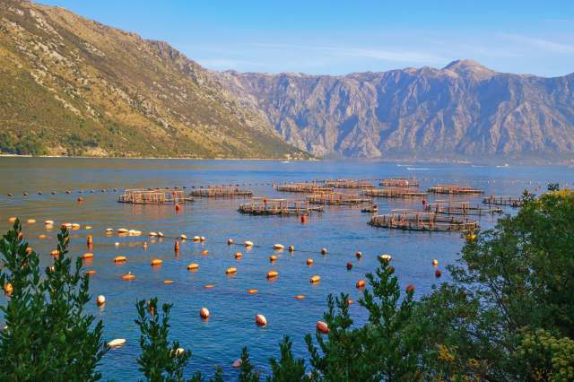 "So the next part of this is getting policymakers and communities to interact with each other."