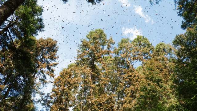 Previous years have been tumultuous.