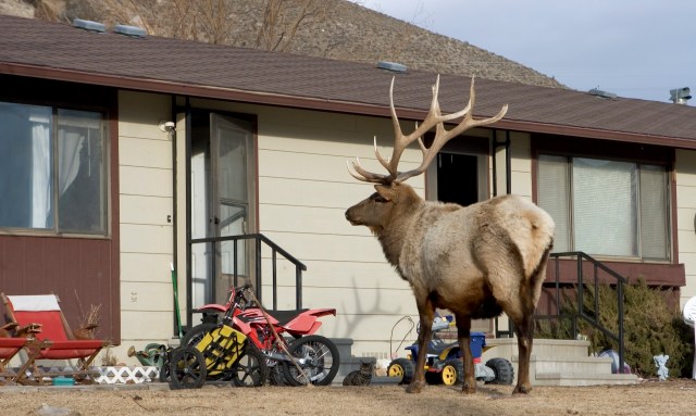 "I'm coming to protect you."