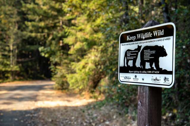 The man bagged a lot more than he bargained for on a hunting trip.