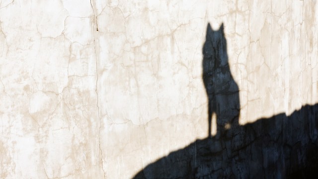 At one point, it got stuck trying to squeeze through a gate at a housing complex.