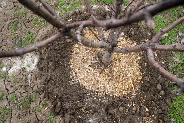 "It can also have negative impacts when applied improperly."