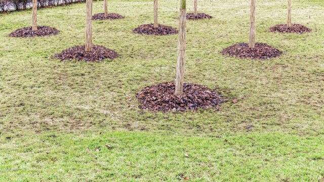 "I’ll never get tired of seeing these type of posts."