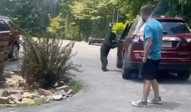 This encounter is one of many across all national parks.