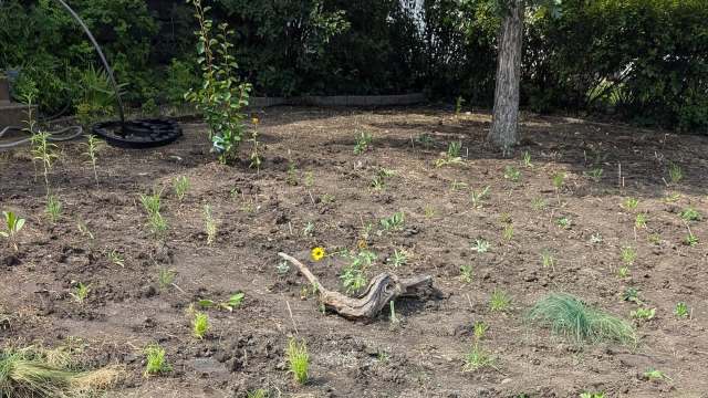 "Spring can't come soon enough."