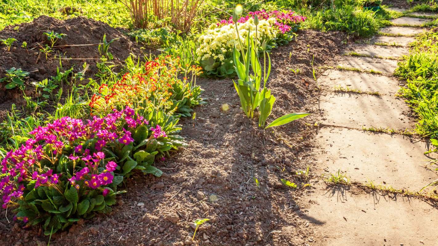 "You need to call whatever agency issued the warning and straighten it out with them."