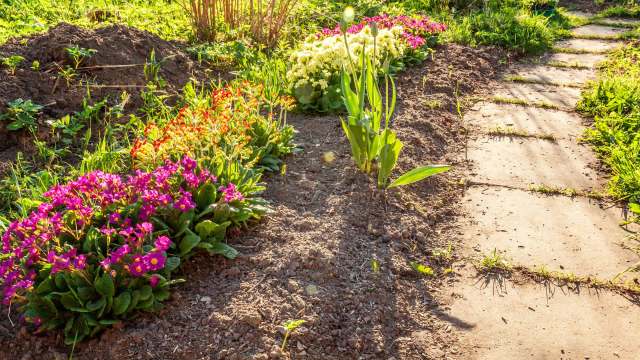 "You need to call whatever agency issued the warning and straighten it out with them."