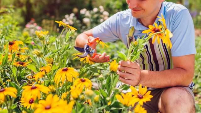 "It truly is therapeutic."