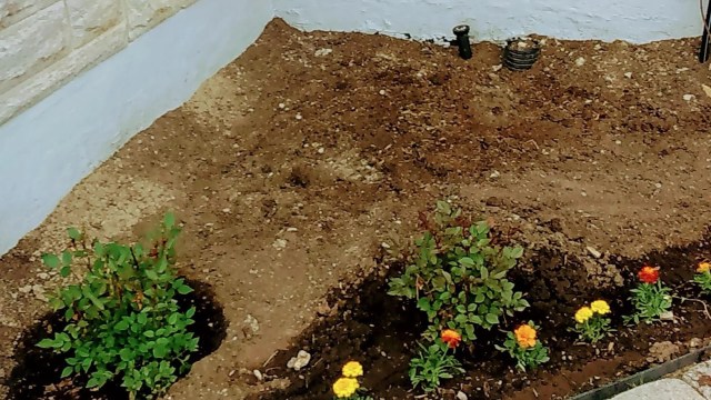 "What a beautiful little garden."