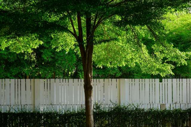 "She could be liable for more damages."