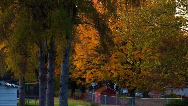 The dispute escalated with a certified letter claiming years of damage.