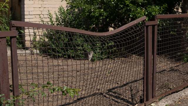 "My neighbor did the same thing."