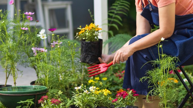 "Now I know what to make."