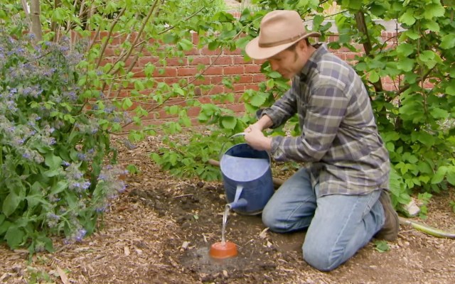 Instead of spending time with a hose every day, gardeners can refill their ollas every few days or even once a week, depending on the weather conditions and soil type.