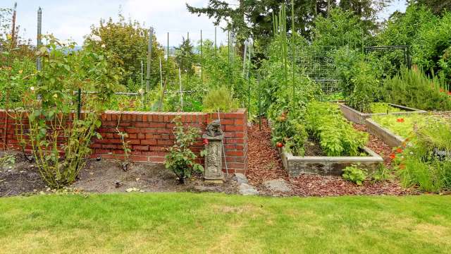 "Sensational way to keep your plants watered."