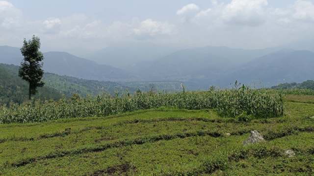 "Recent production is good only above that altitude."