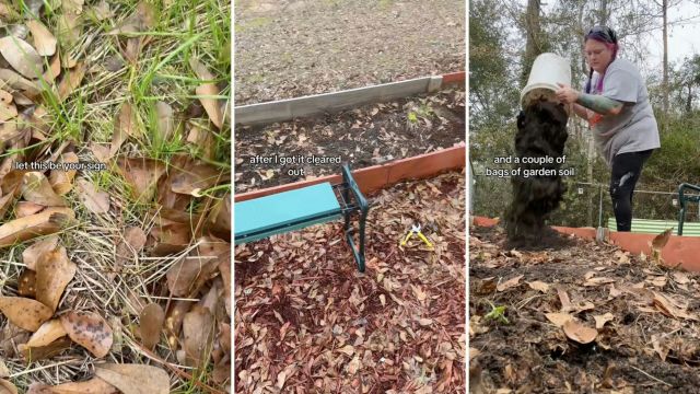 “Try covering with cardboard or a tarp until spring."